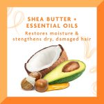 Cantu Shea Butter Deep Treatment Masque 12oz (340g) – Intensive Moisturizing Hair Mask for Dry, Damaged & Natural Hair - Image 2