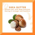 Cantu Shea Butter Moisturizing Rinse Out Conditioner 400ml (13.5oz) – Deep Hydration Conditioner for Dry, Damaged & Curly Hair - Image 4