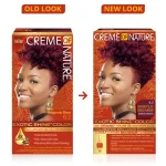 Creme of Nature Exotic Shine Color with Argan Oil from Morocco - 6.2 Burgundy Blaze | Permanent Hair Color Kit for Intense Shine & Deep Conditioning - Image 3