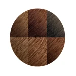 Creme of Nature Moisture-Rich Hair Color with Shea Butter Conditioner - C20 Light Golden Brown | Permanent Hair Color Kit for Luminous Shine & Full Gray Coverage - Image 3