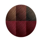 Creme of Nature Exotic Shine Color with Argan Oil from Morocco - 6.2 Burgundy Blaze | Permanent Hair Color Kit for Intense Shine & Deep Conditioning - Image 5