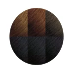 Creme of Nature Exotic Shine Color with Argan Oil from Morocco - 1.0 Intense Black | Permanent Hair Color Kit for Radiant Shine & Full Gray Coverage - Image 6