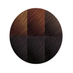 Creme of Nature Exotic Shine Color with Argan Oil from Morocco - 3.0 Soft Black | Permanent Hair Color Kit for Intense Moisture & Brilliant Shine - Image 3